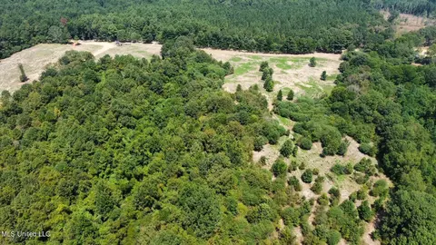 1 Edwards Rd, Carthage, MS 39051 photo 14