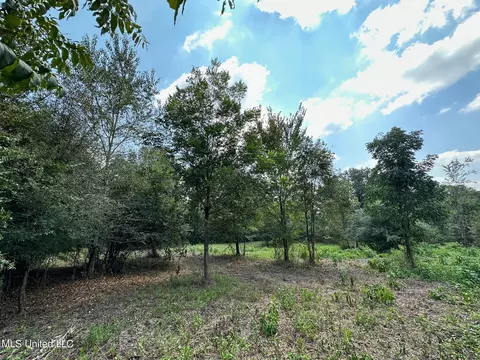 1 Edwards Rd, Carthage, MS 39051 photo 4
