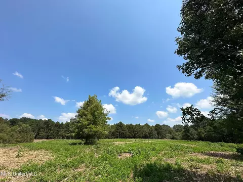 1 Edwards Rd, Carthage, MS 39051 photo 7