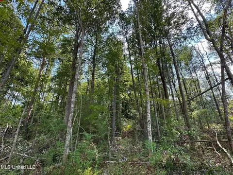 2 Edwards Rd, Carthage, MS 39051 photo 2