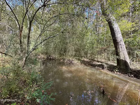 2 Edwards Rd, Carthage, MS 39051 photo 17