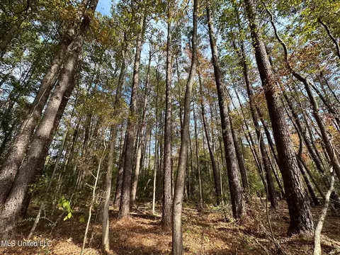 2 Edwards Rd, Carthage, MS 39051 photo 16