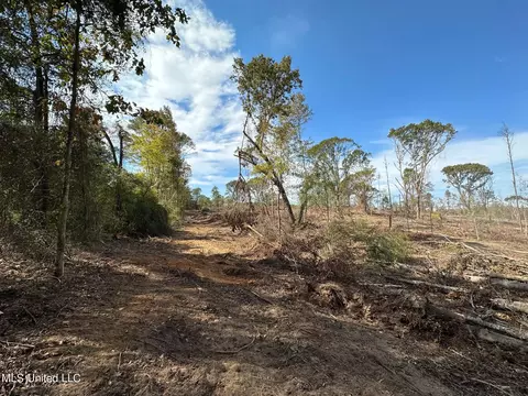 2 Edwards Rd, Carthage, MS 39051 photo 20