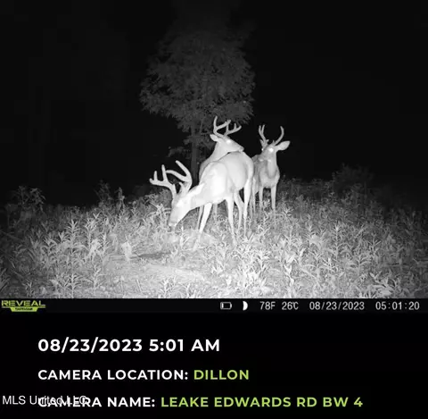 2 Edwards Rd, Carthage, MS 39051 photo 9