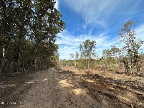 2 Edwards Rd, Carthage, MS 39051 photo 13
