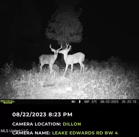 2 Edwards Rd, Carthage, MS 39051 photo 8