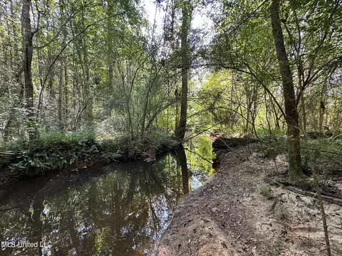 2 Edwards Rd, Carthage, MS 39051 photo 4
