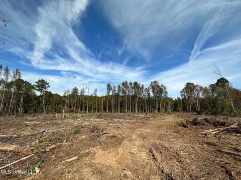 2 Edwards Rd, Carthage, MS 39051 photo 14
