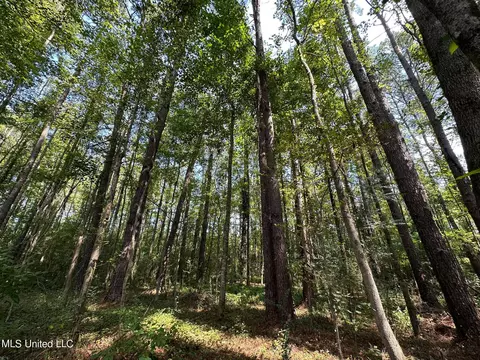 2 Edwards Rd, Carthage, MS 39051 photo 5
