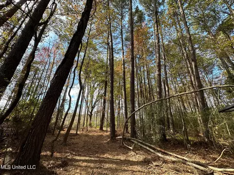 2 Edwards Rd, Carthage, MS 39051 photo 18