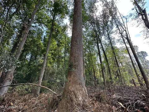 2 Edwards Rd, Carthage, MS 39051 photo 3