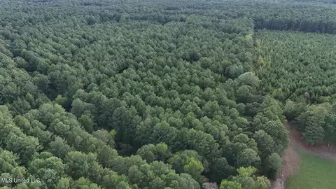 Hwy 13, Morton, MS 39117