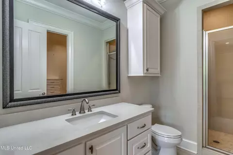 111 Carlyle Dr, Madison, MS 39110 photo 87