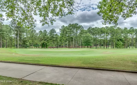 111 Carlyle Dr, Madison, MS 39110 photo 8