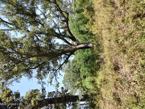 53 Barth Road, Poplarville, MS 39470