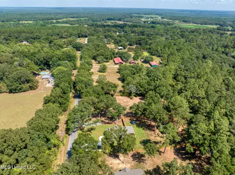115 Ev Lowery Rd, Lucedale, MS 39452 photo 30