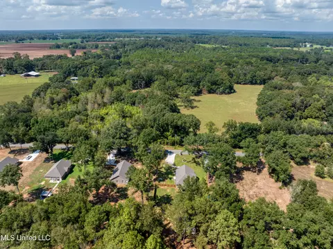 115 Ev Lowery Rd, Lucedale, MS 39452 photo 31