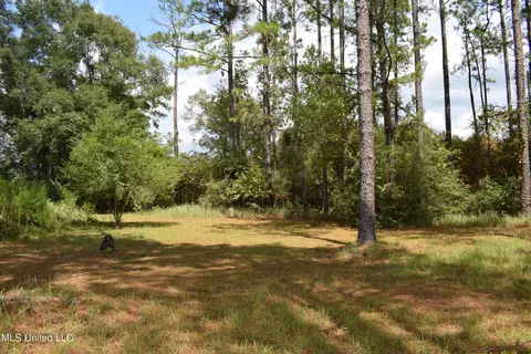 114 Noel Eubanks Rd, Lucedale, MS 39452 photo 1