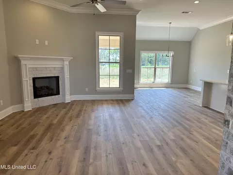 898 Glenwild Cir, Canton, MS 39046 photo 3