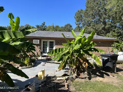 892 Rowell Rd, Coldwater, MS 38618 photo 16