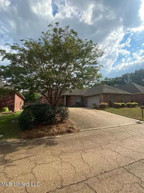 203 Coxwell Cv, Brandon, MS 39042 photo 3