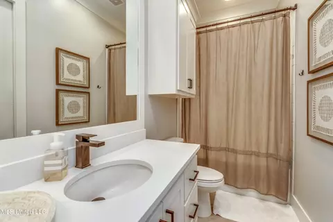 308 Wellstone Pl, Madison, MS 39110 photo 30