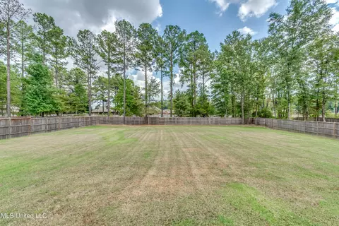 308 Wellstone Pl, Madison, MS 39110 photo 7
