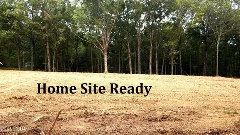 25475 315, Sardis, MS 38666