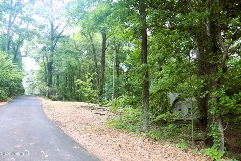 2551 Pine Dr, Hernando, MS 38632 photo 25