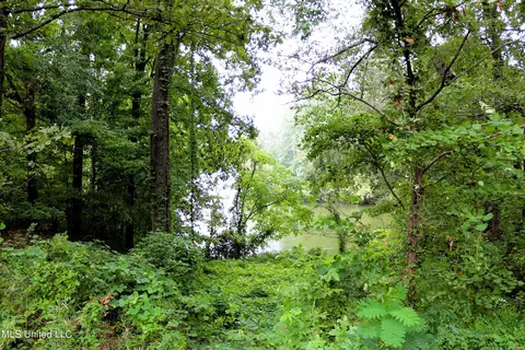 2551 Pine Dr, Hernando, MS 38632 photo 24