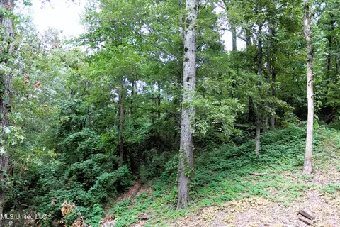 2551 Pine Dr, Hernando, MS 38632 photo 22