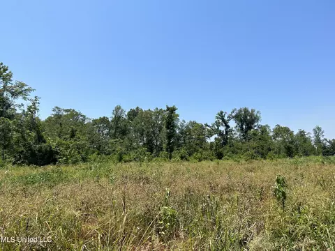 Omega Road, Rolling Fork, MS 39159 photo 6