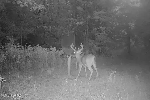 Omega Road, Rolling Fork, MS 39159 photo 36