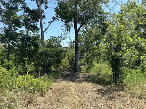 Omega Road, Rolling Fork, MS 39159 photo 5