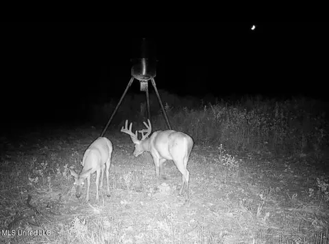 Omega Road, Rolling Fork, MS 39159 photo 42