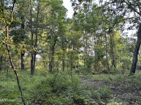 Omega Road, Rolling Fork, MS 39159 photo 13
