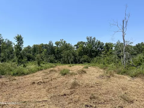 Omega Road, Rolling Fork, MS 39159 photo 4