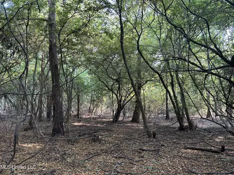 Omega Road, Rolling Fork, MS 39159 photo 21