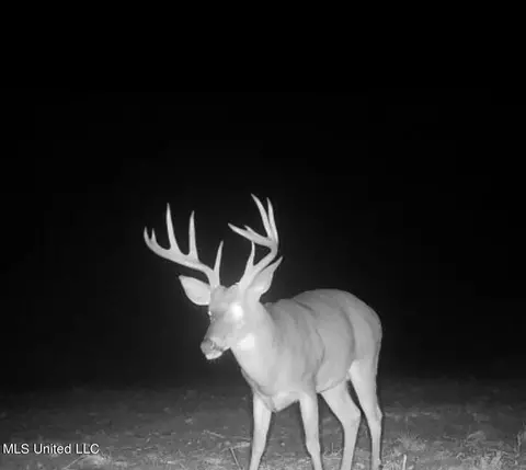 Omega Road, Rolling Fork, MS 39159 photo 46