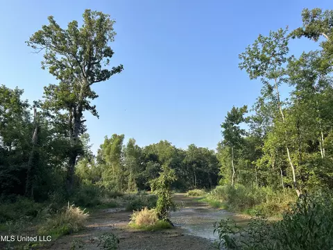 Omega Road, Rolling Fork, MS 39159 photo 17