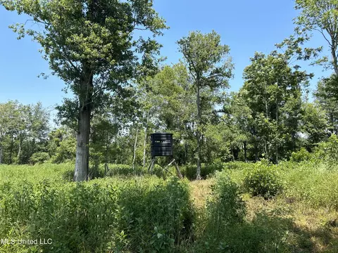 Omega Road, Rolling Fork, MS 39159 photo 9