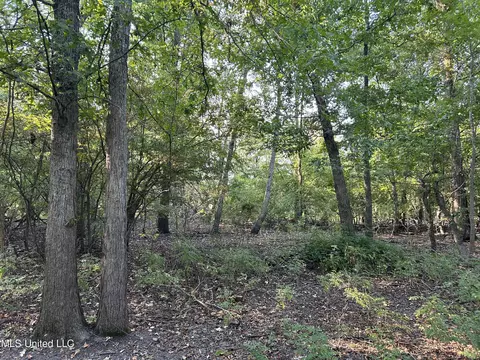 Omega Road, Rolling Fork, MS 39159 photo 14