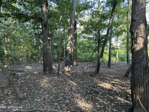 Omega Road, Rolling Fork, MS 39159 photo 19