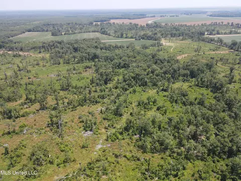 Omega Road, Rolling Fork, MS 39159 photo 30
