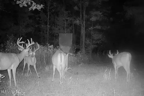 Omega Road, Rolling Fork, MS 39159 photo 39
