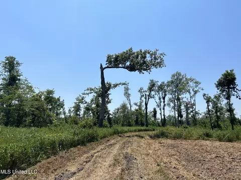 Omega Road, Rolling Fork, MS 39159 photo 11