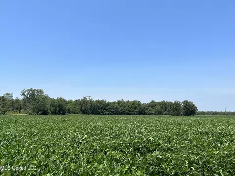 Omega Road, Rolling Fork, MS 39159 photo 3