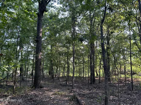 Omega Road, Rolling Fork, MS 39159 photo 25