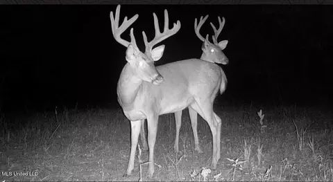 Omega Road, Rolling Fork, MS 39159 photo 50