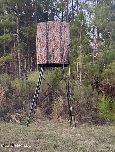 3250 Highway 471, Brandon, MS 39047 photo 91